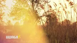Uwaga! TVN. Walka dziadków o 4-letniego Oskara
