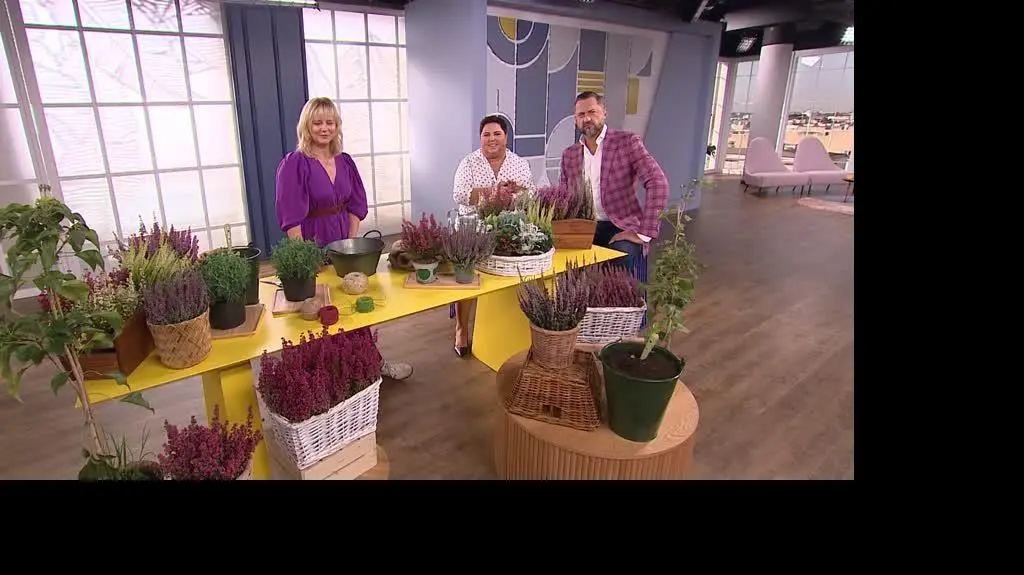 DD_20230908_Wrzosy_REP