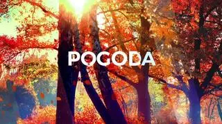 Prognoza pogody na 5 dni - od 7 do 11 października 2023 r.