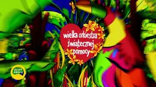 WOŚP - wejście 1.