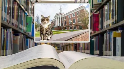 Kot Max zdobył tytuł doktora. "To jest niesamowite"