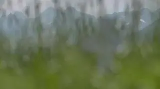 Uwaga! TVN: Widział, jak zerwany dach zabija mu żonę i córki