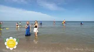 Projekt Plaża - Lewczuk 