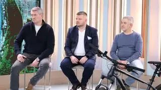 Święte krowy, czyli kto ma rację w odwiecznym sporze kierowców, pieszych i rowerzystów? 