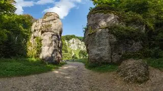 Ojcowski Park Narodowy – najpiękniejsze szlaki turystyczne