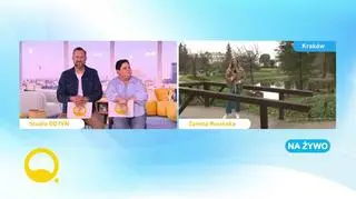 Wiosna w Ogrodzie Botanicznym w Krakowie