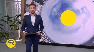 Newsy 