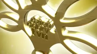 Pozytywki Dzień Dobry TVN - nominowani 