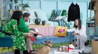 Jak pozbyć się niechcianych kłaczków zwierząt? Sprawdzone metody