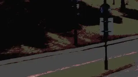 DD_20230502_Para_rep_REP