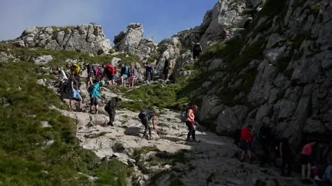 Zakorkowane Tatry 