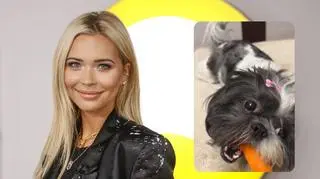 Sandra Kubicka o adopcji psa. "Z nieufnej, zagłodzonej suni ze schroniska do marchewek na kanapie"