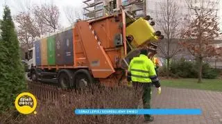 Segregacja śmieci - kolory pojemników, co do nich wrzucać?