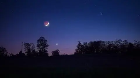 Horoskop dzienny na niedzielę, 31 marca 2024 r. dla Strzelców, Koziorożców, Wodników, Ryb
