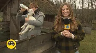 Czy zwierzęta czują już wiosnę? 
