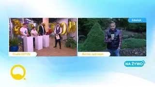 Quiz: co wiecie o TVN?