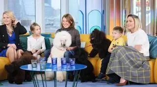 Pudle, czyli rodzinne psy. "Kochają dzieci"