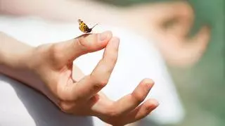 Motyl na dłoni osoby medytującej