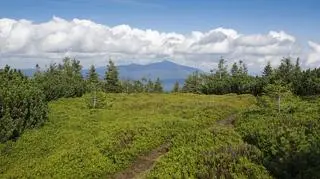 Bilety wstępu do parków narodowych - zmiany w 2022 roku