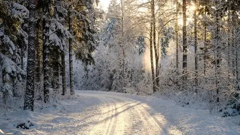 Pogoda na czwartek 15 grudnia. Nad Polską króluje wyż Julian, który przyniesie rozpogodzenia