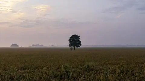 Pogoda na niedzielę 25 września. Gdzie może spaść deszcz?