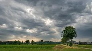 Pogoda na poniedziałek. Czeka nas pochmurny dzień