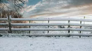 W piątek wystąpią opady śniegu w centralnej Polsce