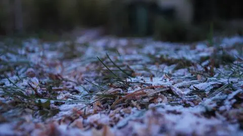 Pogoda na wtorek 29 listopada. Nad Polską tworzy się granica między zimą a jesienią