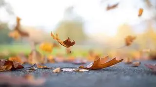 IMGW ostrzega przed silnym wiatrem. Gdzie powieje najmocniej?