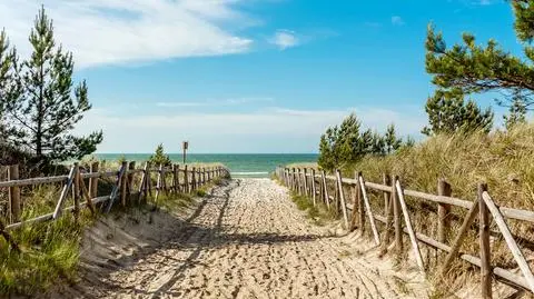 Już nie ma "dzikich plaż" nad Bałtykiem? To nieprawda. Oto one