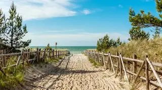 Już nie ma "dzikich plaż" nad Bałtykiem? To nieprawda. Oto one