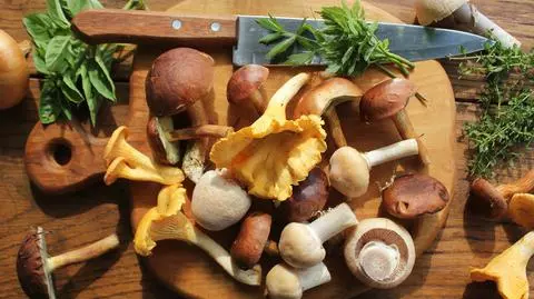 Idealny sos grzybowy - jak go przygotować i do czego go podawać?