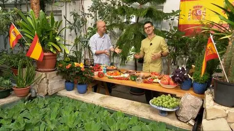 Adrian Stojewski w kuchni Dzień Dobry TVN