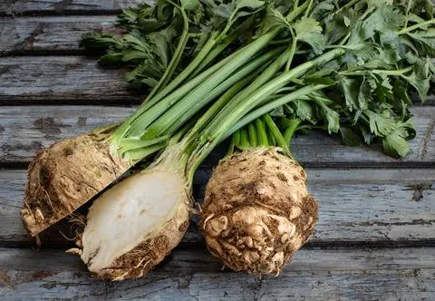 Krem z selera z oliwą truflową i pistacjami z przepisu Darii Ładochy