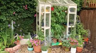 Ceny działek na ROD poszły w górę. Ile kosztuje działka ROD?