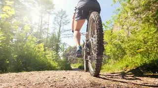 Obowiązkowe wyposażenie roweru - sprawdź, czy masz zainstalowane niezbędne akcesoria i uniknij mandatu