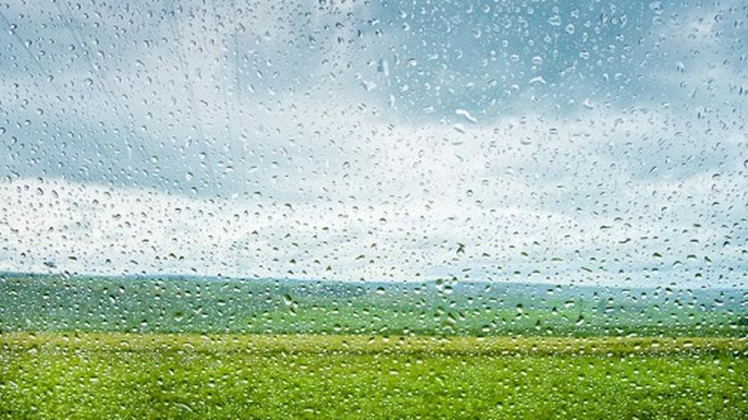 widok na pole przez szybę w deszczu