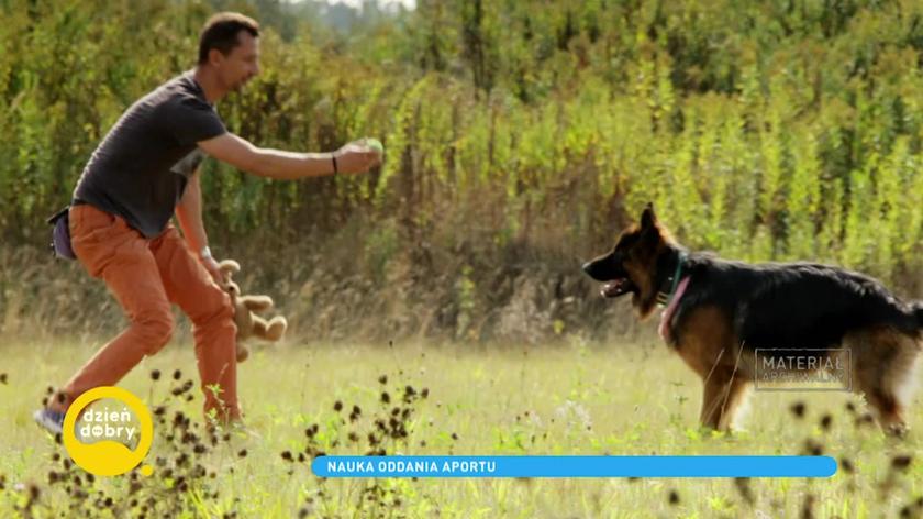 Radosław Ekwiński, instruktor szkolenia psów, aport