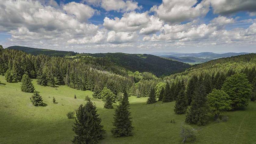Kotlina Kłodzka - co zobaczyć, zwiedzić?