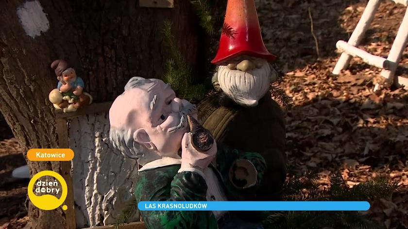 Las Krasnali w Borucicach