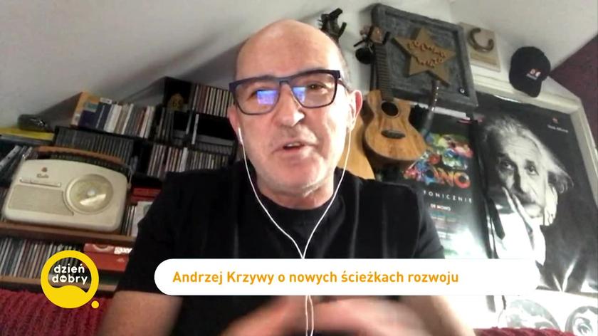 Andrzej Krzywy