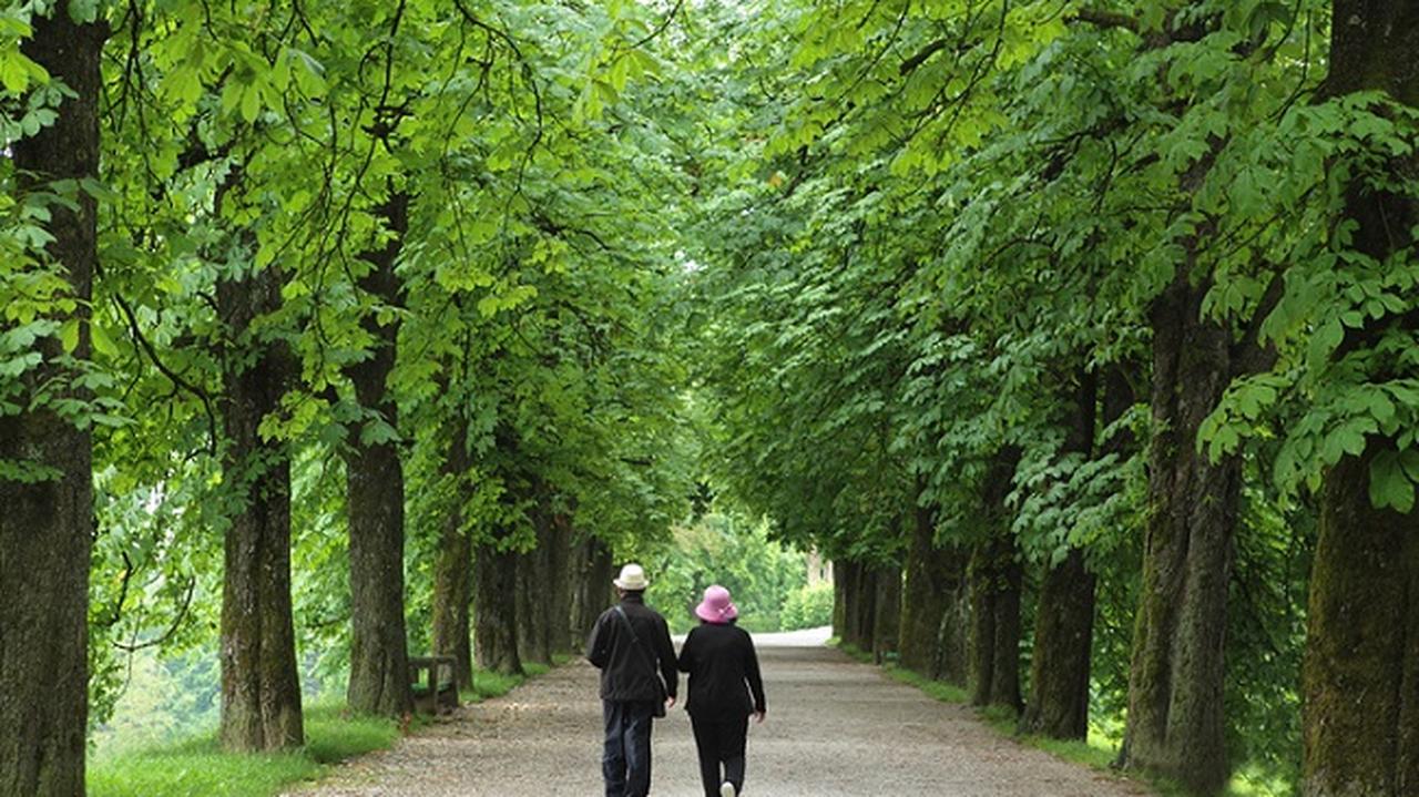 Para trzyma się za rękę i spaceruje przez zielony park w Dusznikach-zdrój