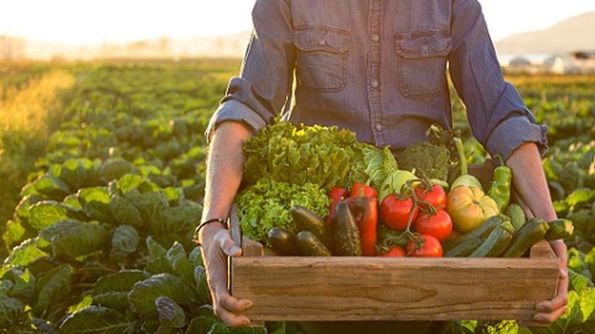 sezonowe warzywa w sierpniu