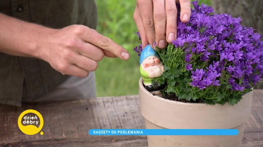 Gadżet do podlewania kwiatów