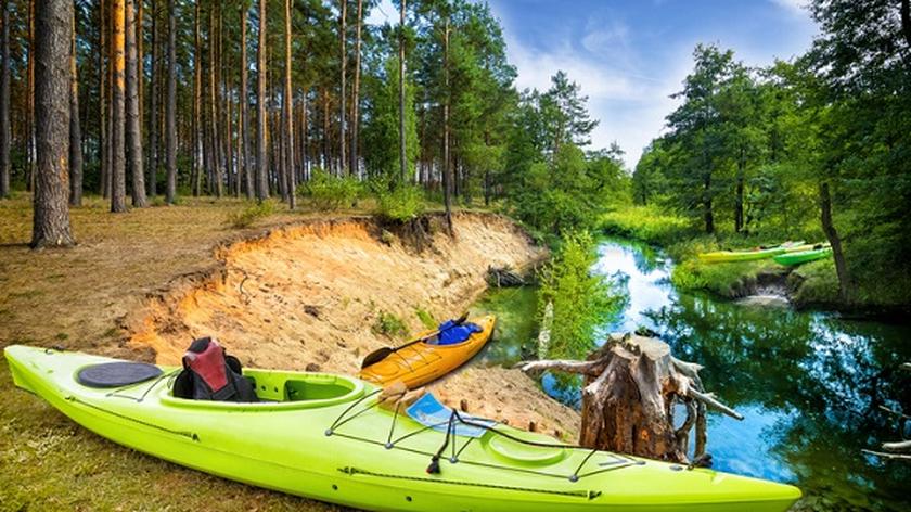 Las i rzeka, kajak, Bory Tucholskie spływy kajakowe