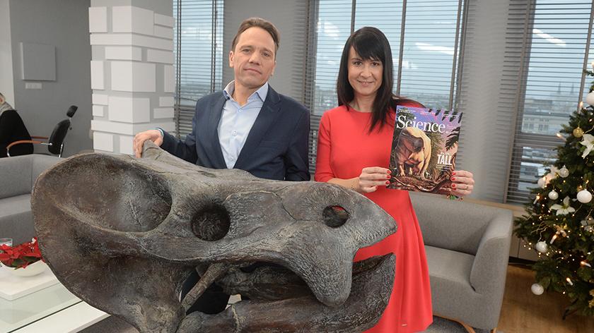 Czaszka gada sprzed 200 milionów lat