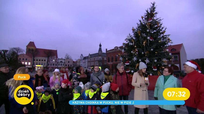 Krzywa choinka w Pucku