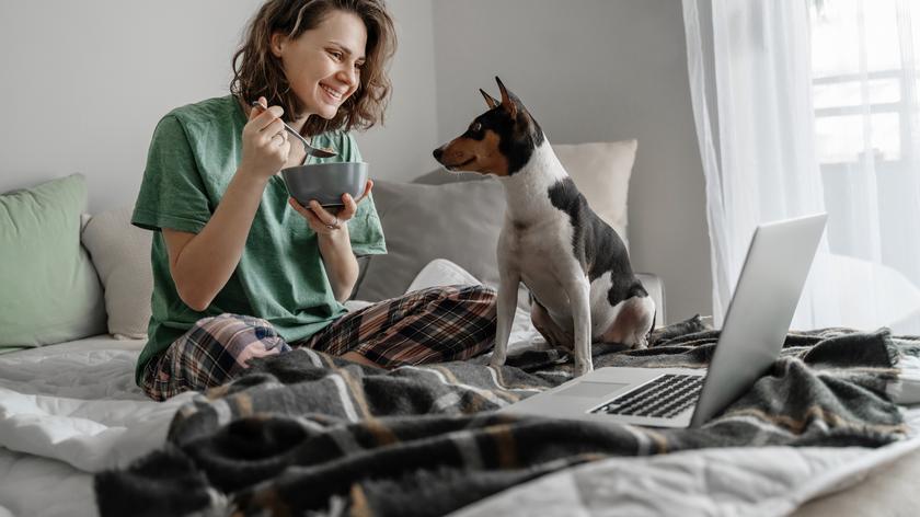 Kobieta i pies na kanapie