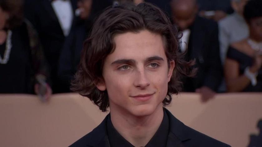 Timothée Chalamet 