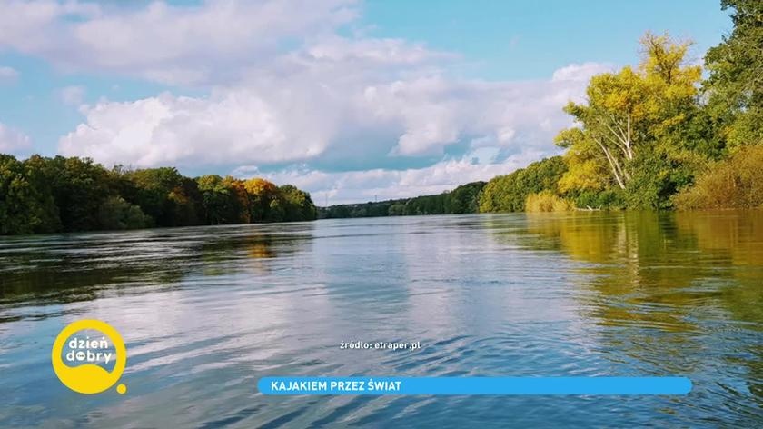 spływ nadodrzańskimi lasami łęgowymi